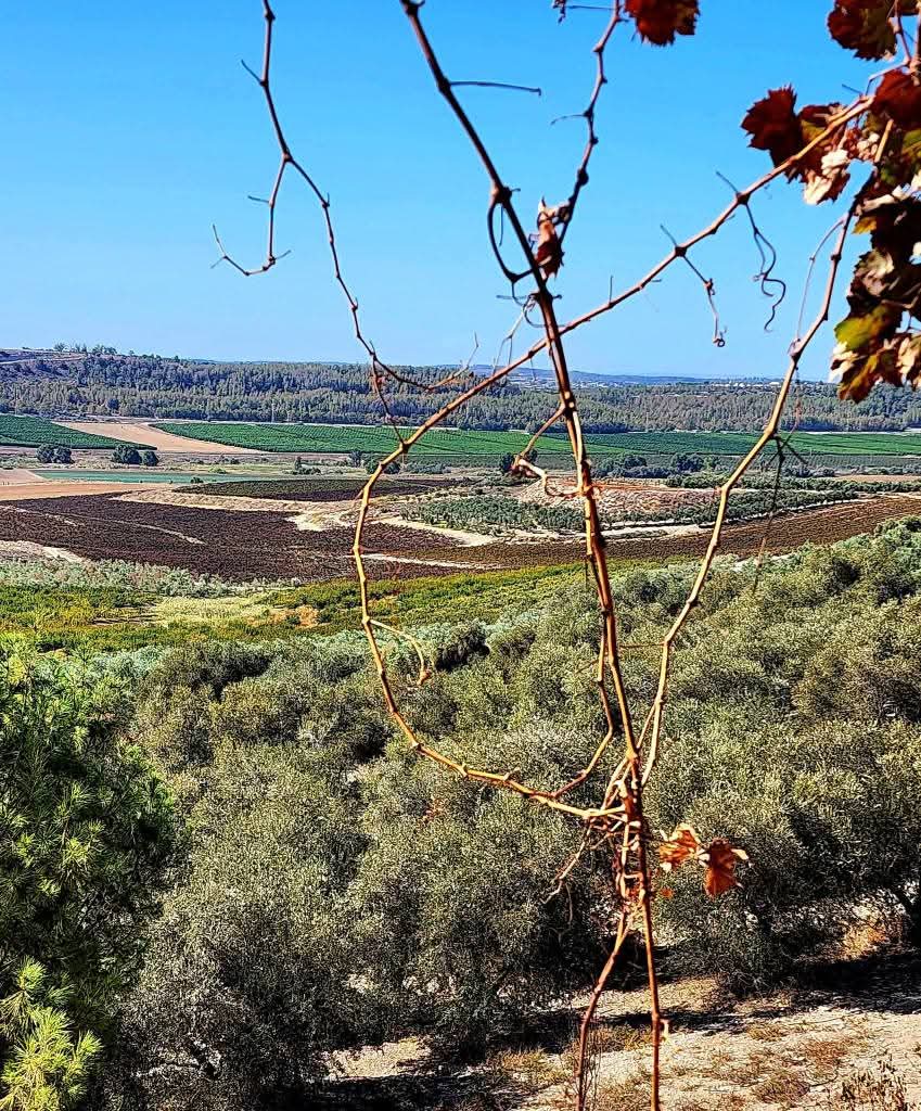 القدس | موسوعة القرى الفلسطينية